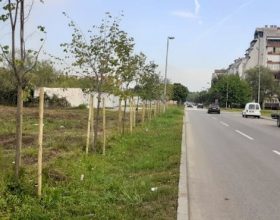 Općina Lukavac obogaćen je sa preko 500 novih sadnica