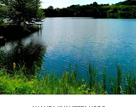 Analiza kvaliteta vode Jezera Kop Šićki Brod